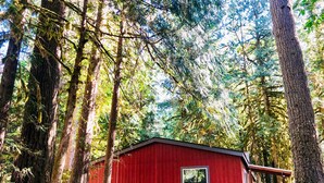 Una cabaña roja con un solo ventanal, rodeada de altos árboles en un bosque.