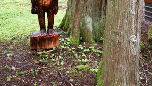 Una escultura de madera de un gorila sobre un tocón en un bosque.