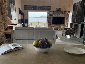 Smart TV, fireplace, books, computer monitors