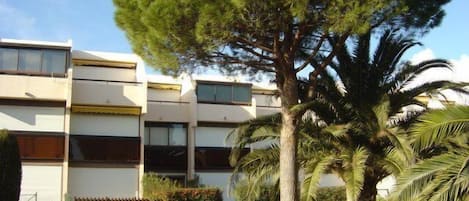 A two-story building with a flat roof, large windows, and a well-maintained lawn with a variety of trees.