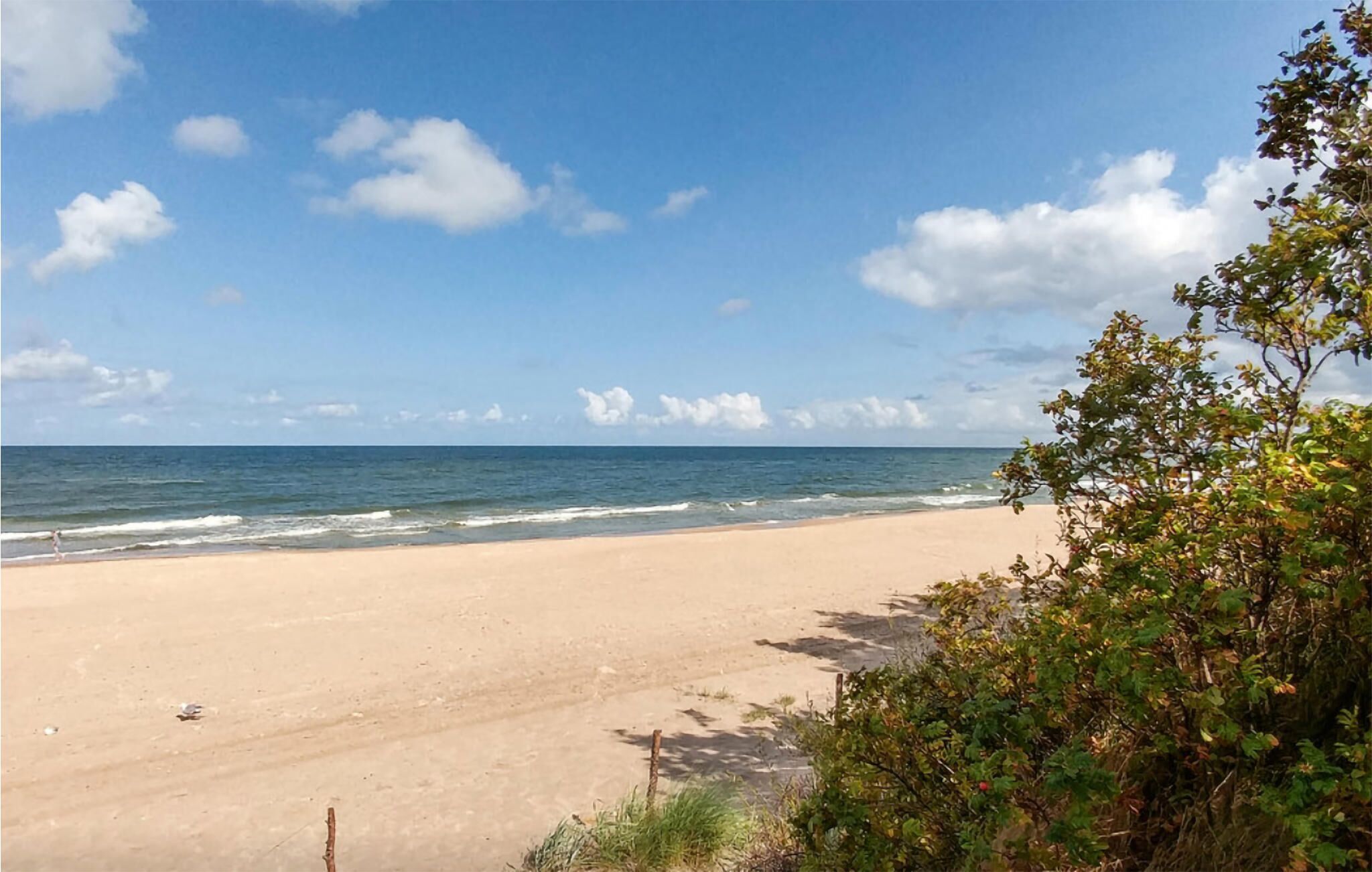 靠近海滩、钓鱼