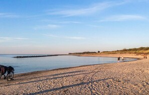 In Strandnähe, Angeln
