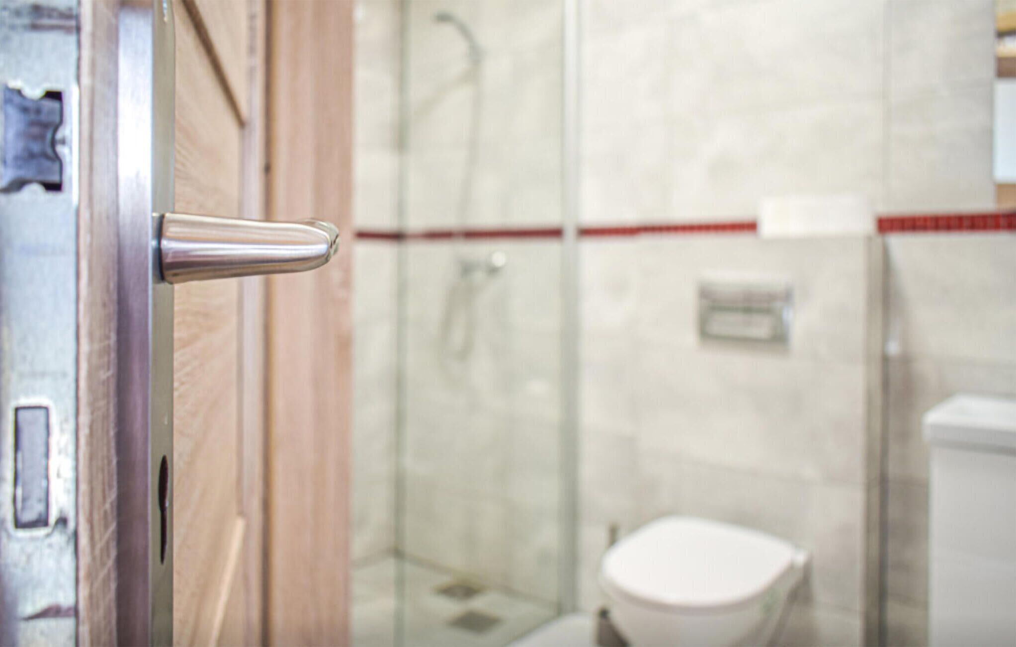 A modern bathroom with a glass shower enclosure, a white toilet, and a wooden door with a metallic handle.