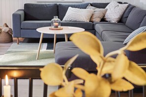 TV - Newly renovated and modern cottage near the beach (Hornbæk)