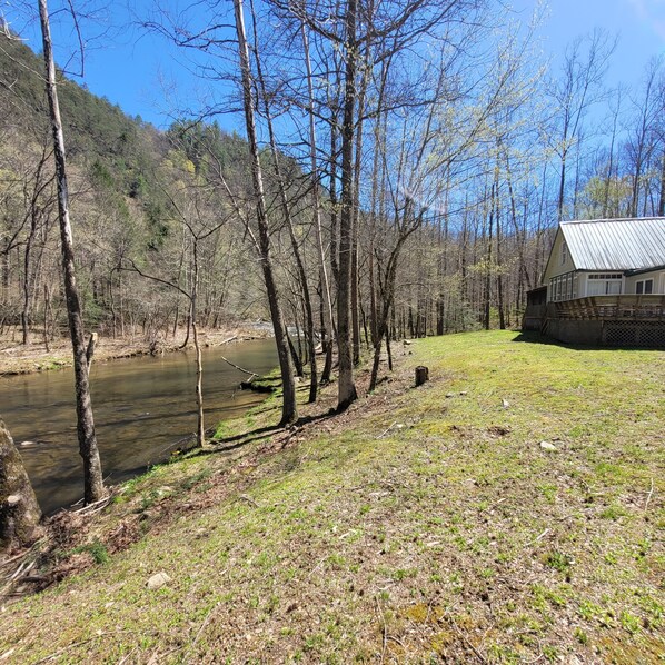 A riverside cabin with a metal roof, surrounded by trees and a grassy area.