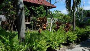 Un jardín tropical con una estructura de madera, abundante vegetación y cielo despejado.