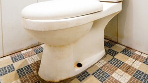 Eine Toilette in einem Badezimmer mit weißen Fliesen an den Wänden und einem fugenreichen Boden.