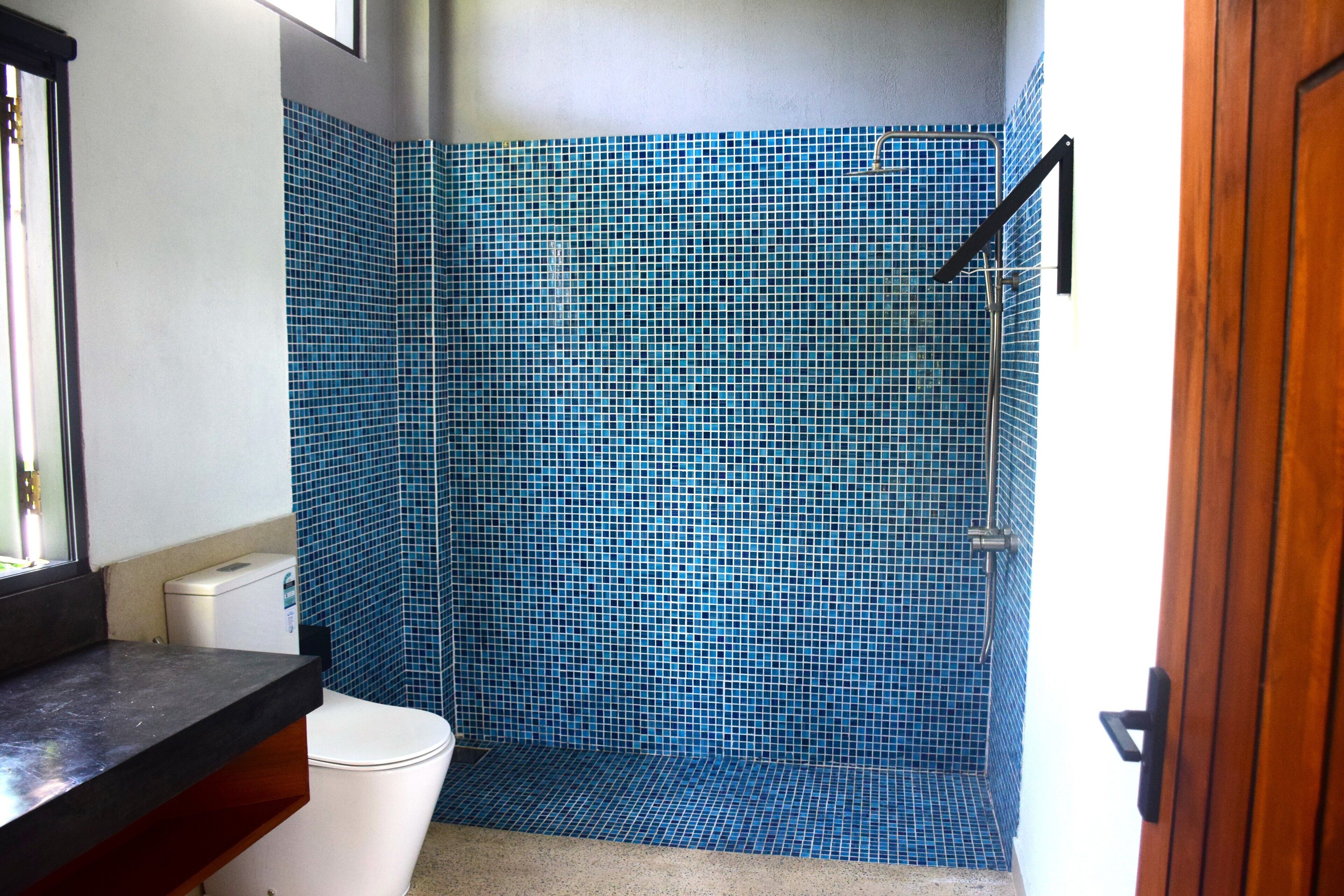 A bathroom with a shower area featuring blue mosaic tiles, a white toilet, and a wooden door.