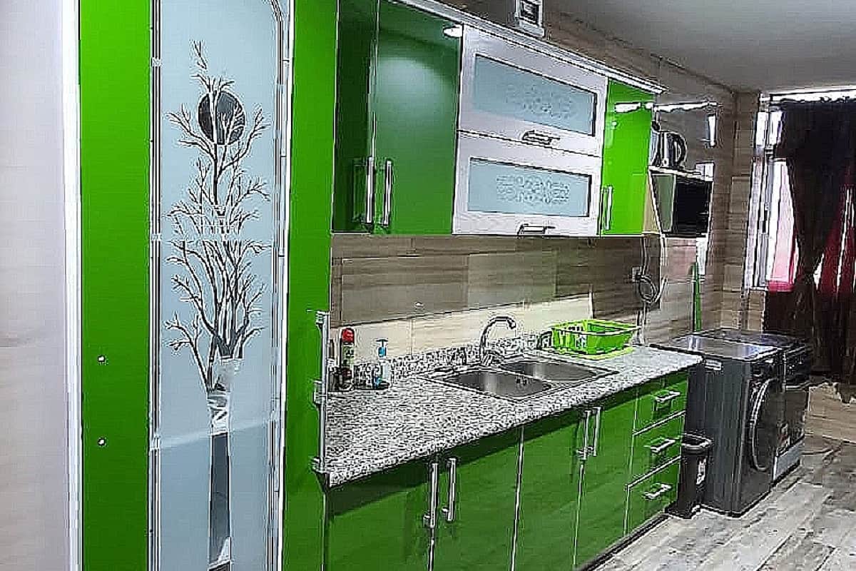 Superior Apartment | Private kitchen | Full-size fridge, microwave, stovetop, blender