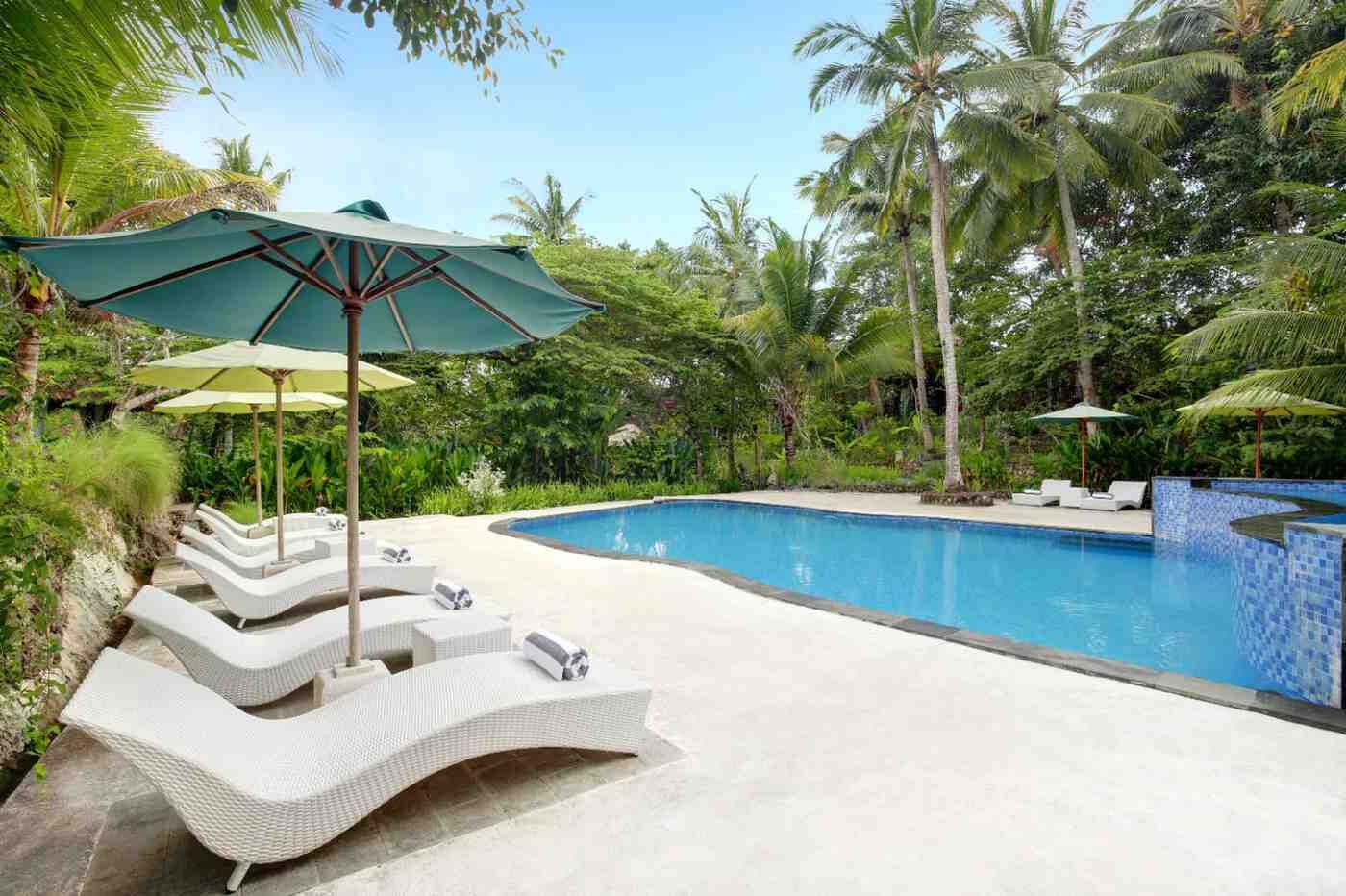 Une piscine entourée d’une végétation luxuriante et de palmiers, avec des chaises longues et des parasols.