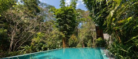 Outdoor pool, a heated pool