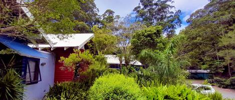 A small, red building with a white roof, surrounded by lush greenery and trees.