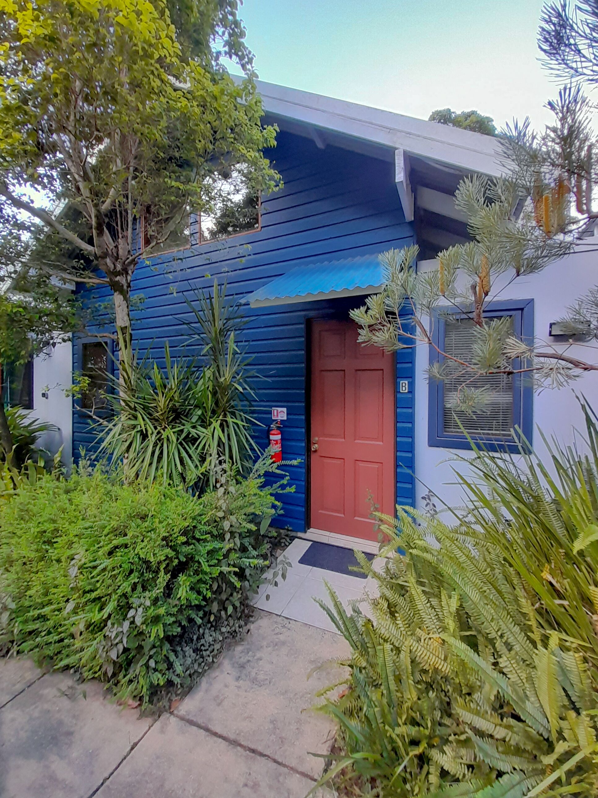 A blue building with a red door, surrounded by various plants and a fire extinguisher.