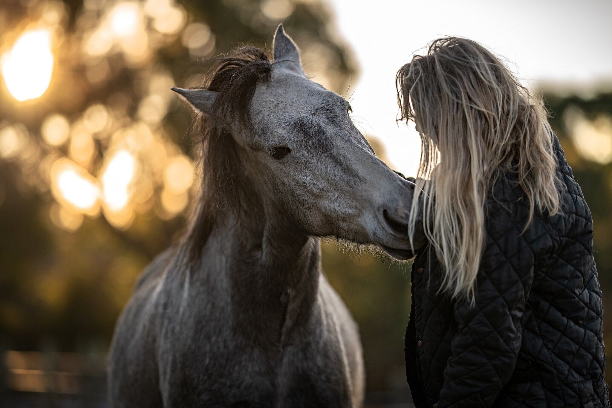Primer plano de la cabeza de un caballo y una persona con una chaqueta acolchada.