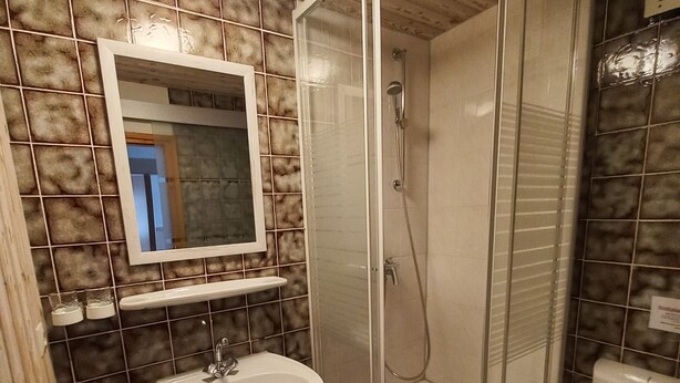 A bathroom with a sink, mirror, shower, and toilet. - Vacation in the Allgäu, vacation home Dorn (Altusried)