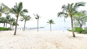 بالقرب من الشاطئ