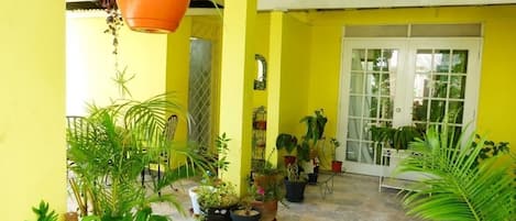 A yellow room with hanging plants, a tiled floor, and a door with glass panels.