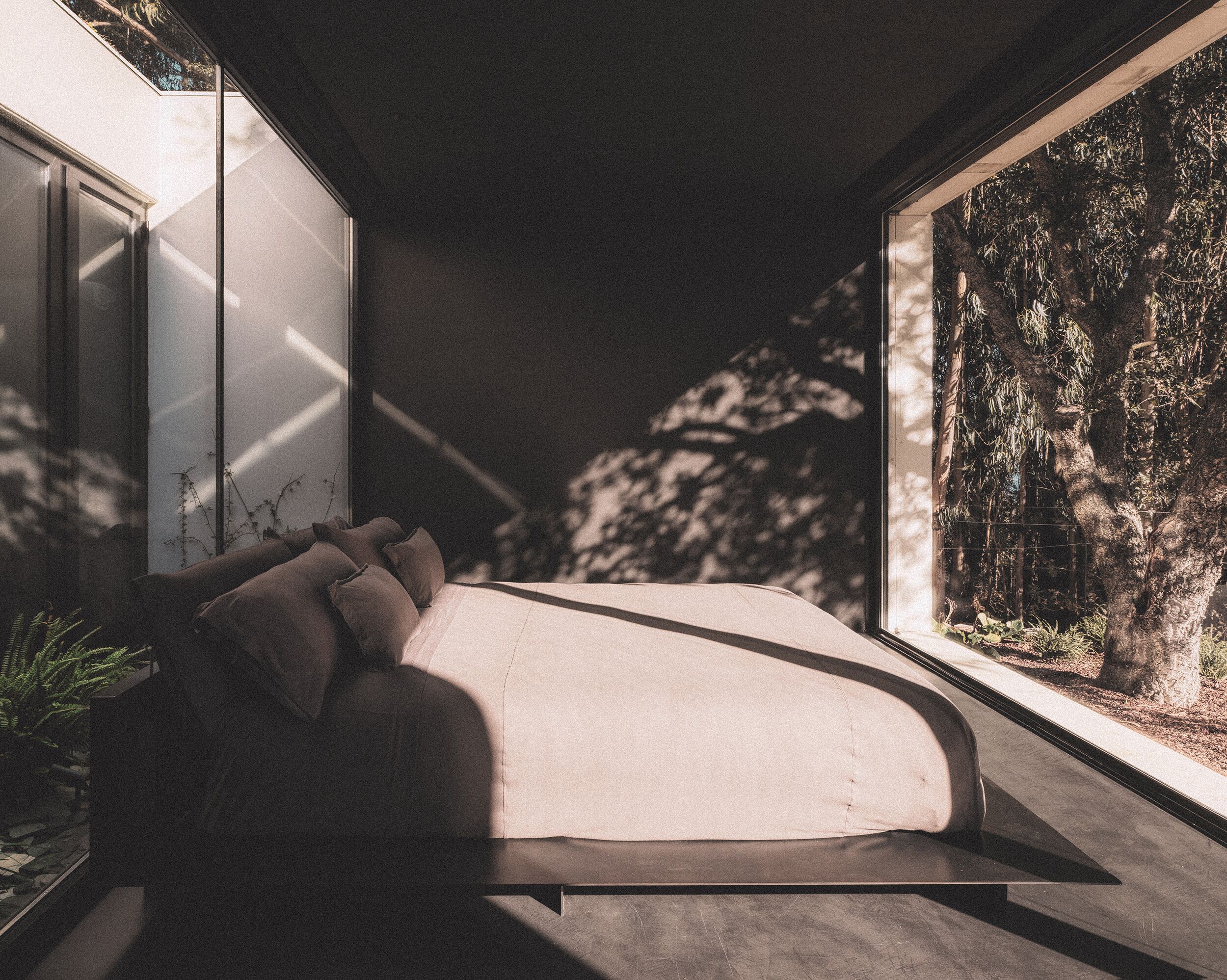 A modern bedroom with a curved bed, large windows, and a view of trees.