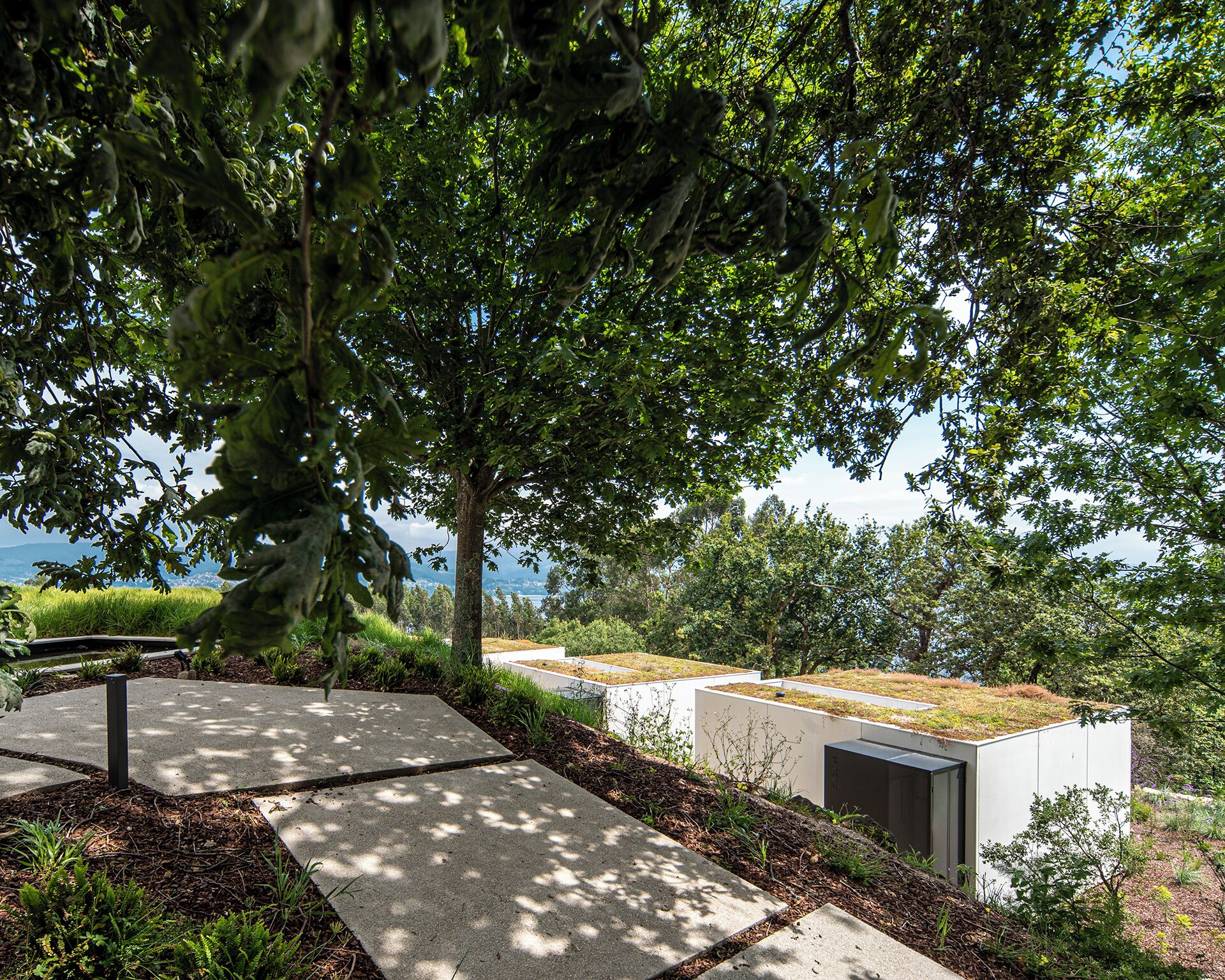 Un espacio exterior moderno con un sendero de hormigón, una zona verde y un edificio con techo ajardinado.