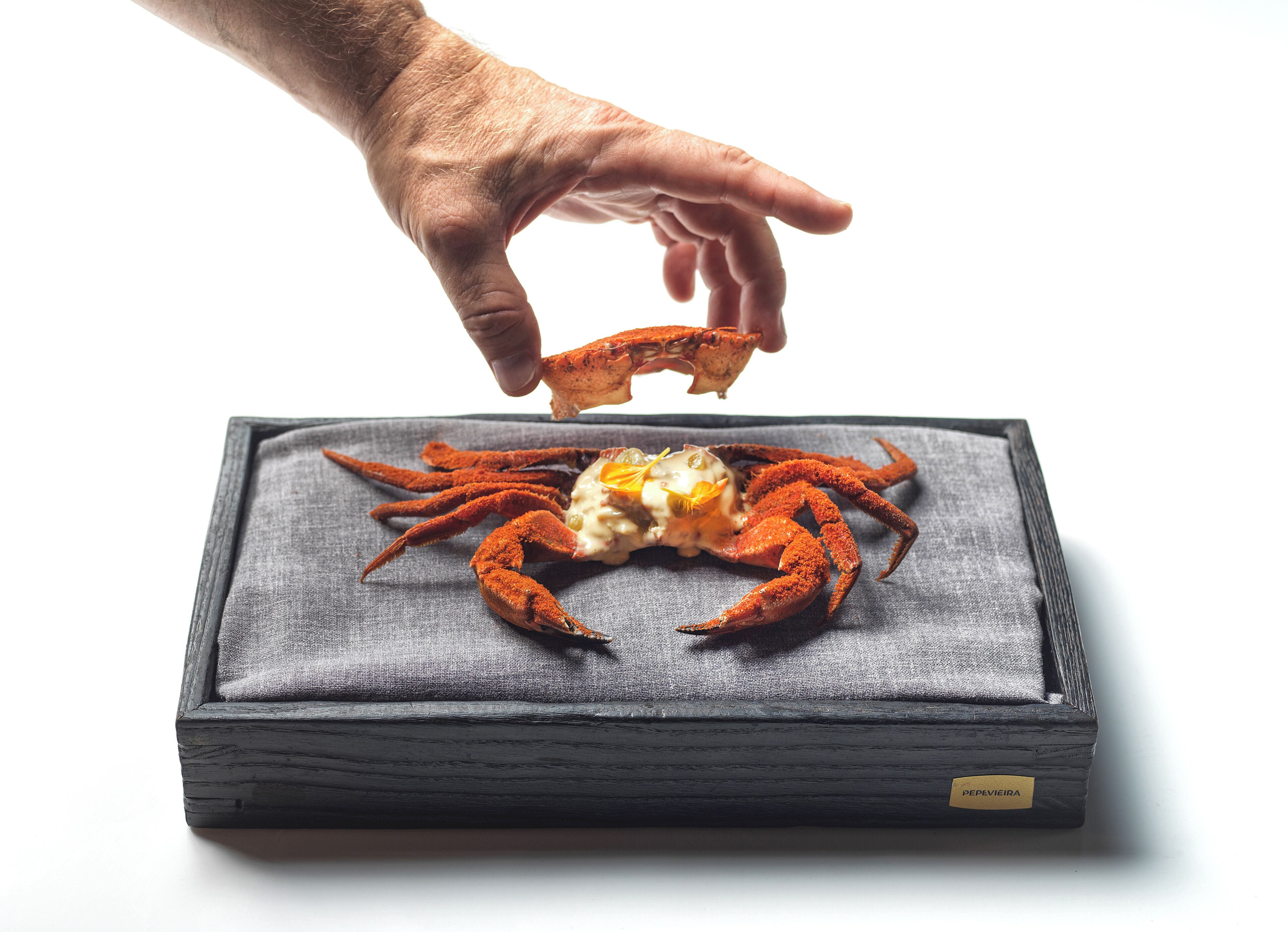 A hand reaching for a crab on a gray textured surface.