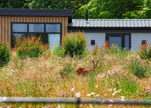 Àrea exterior de l'allotjament