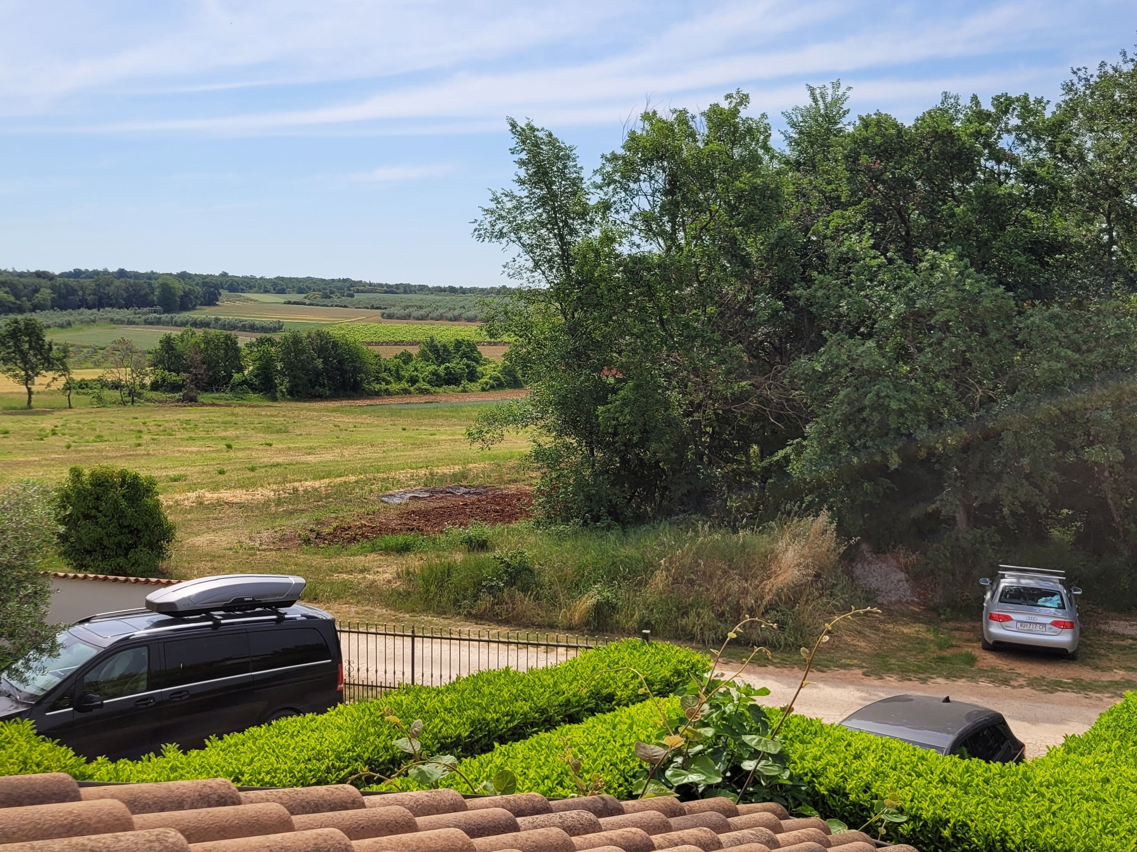 A residential area with a paved driveway, a black SUV, and a silver car parked.