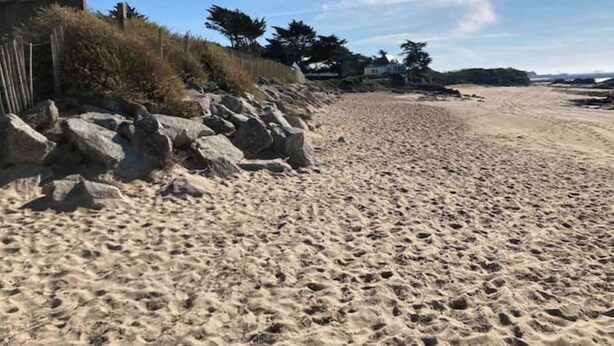 En sandstrand med stenar och gles växtlighet.