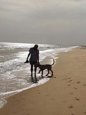 Ubicación cercana a la playa, tumbonas y toallas de playa