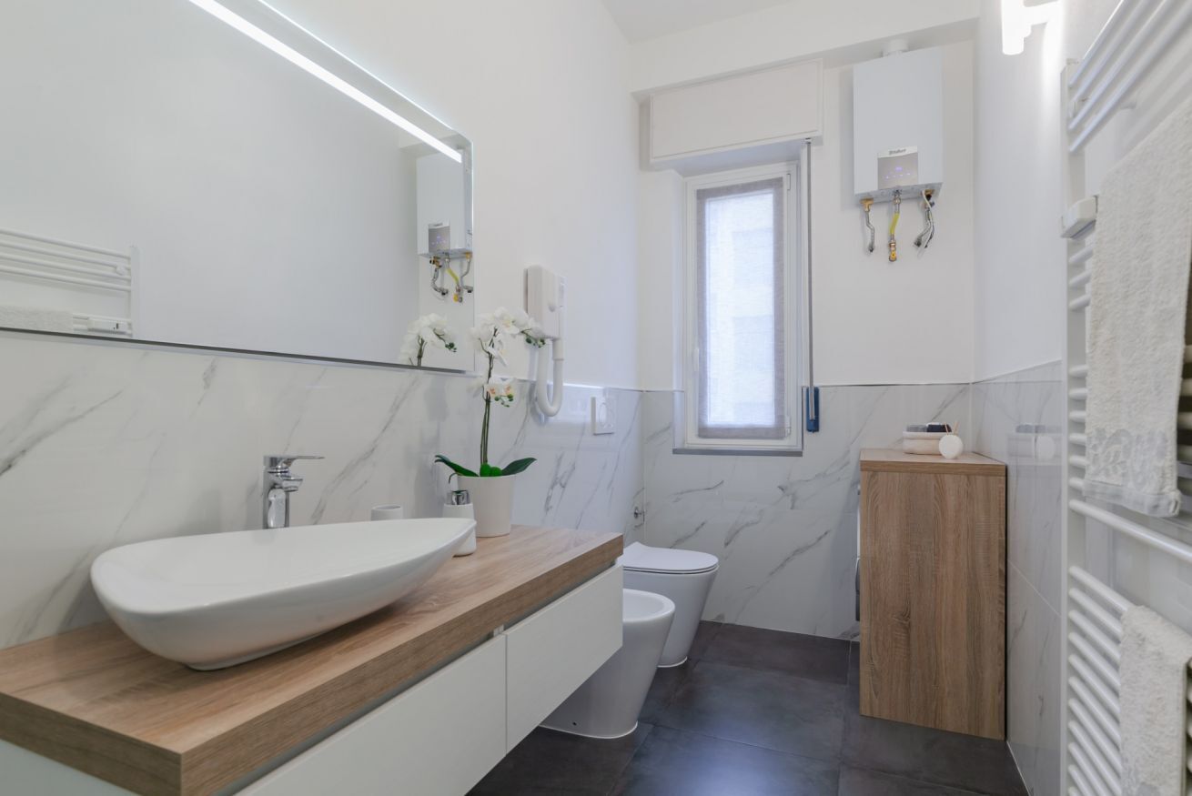 Shower, hair dryer, bidet, towels