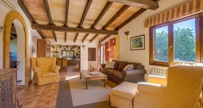 Televisión, chimenea, libros y estéreo 
