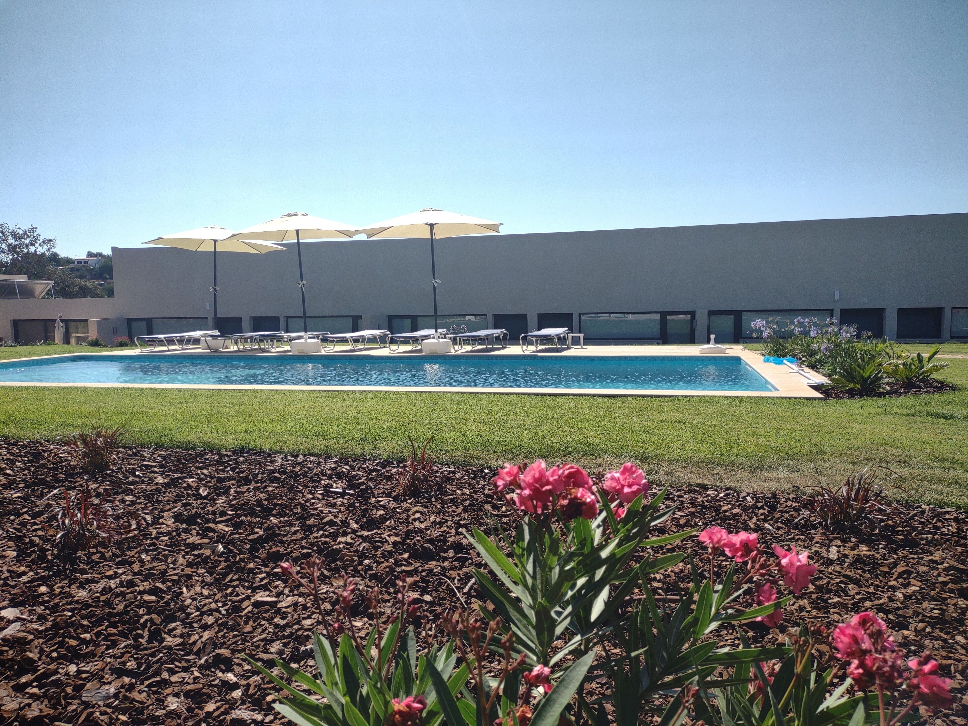 A swimming pool with lounge chairs and umbrellas, surrounded by a grassy area and flowering plants.