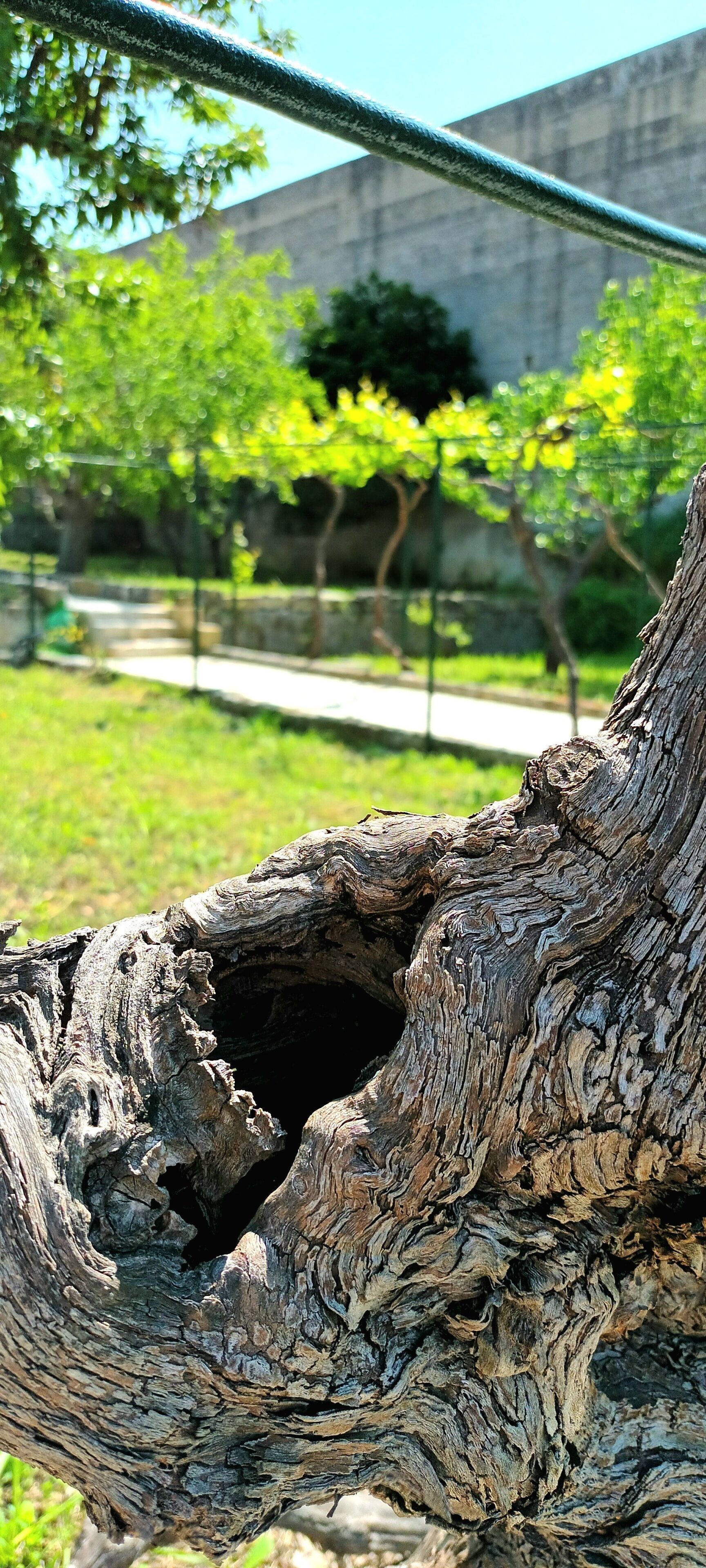 Photo - Villa Sine Tempore Fumarola