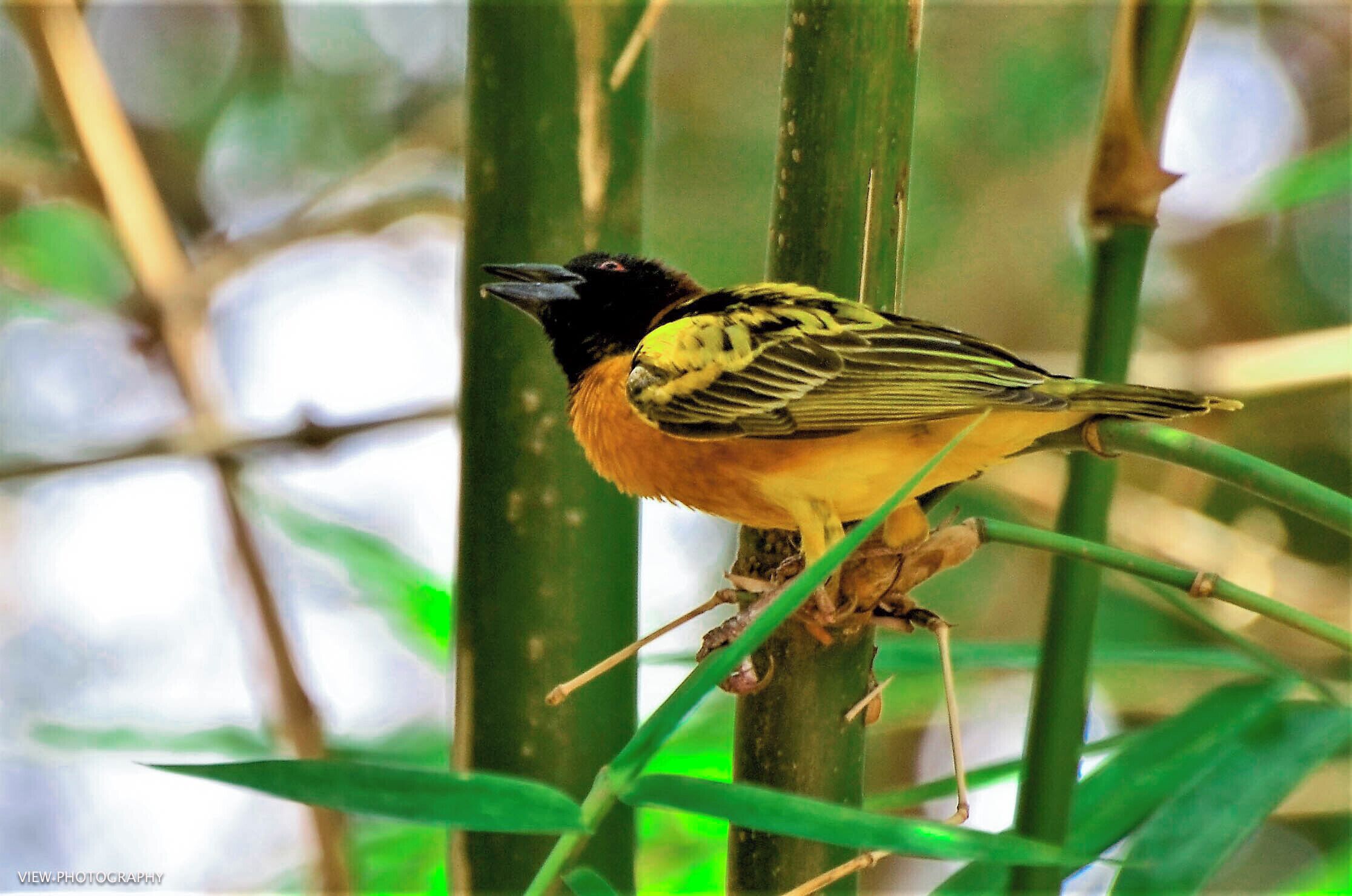 Photo - Umoja Guesthouse II