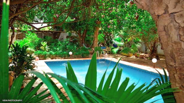 A pool surrounded by lush greenery and trees. - Umoja Guesthouse II (Ouagadougou)