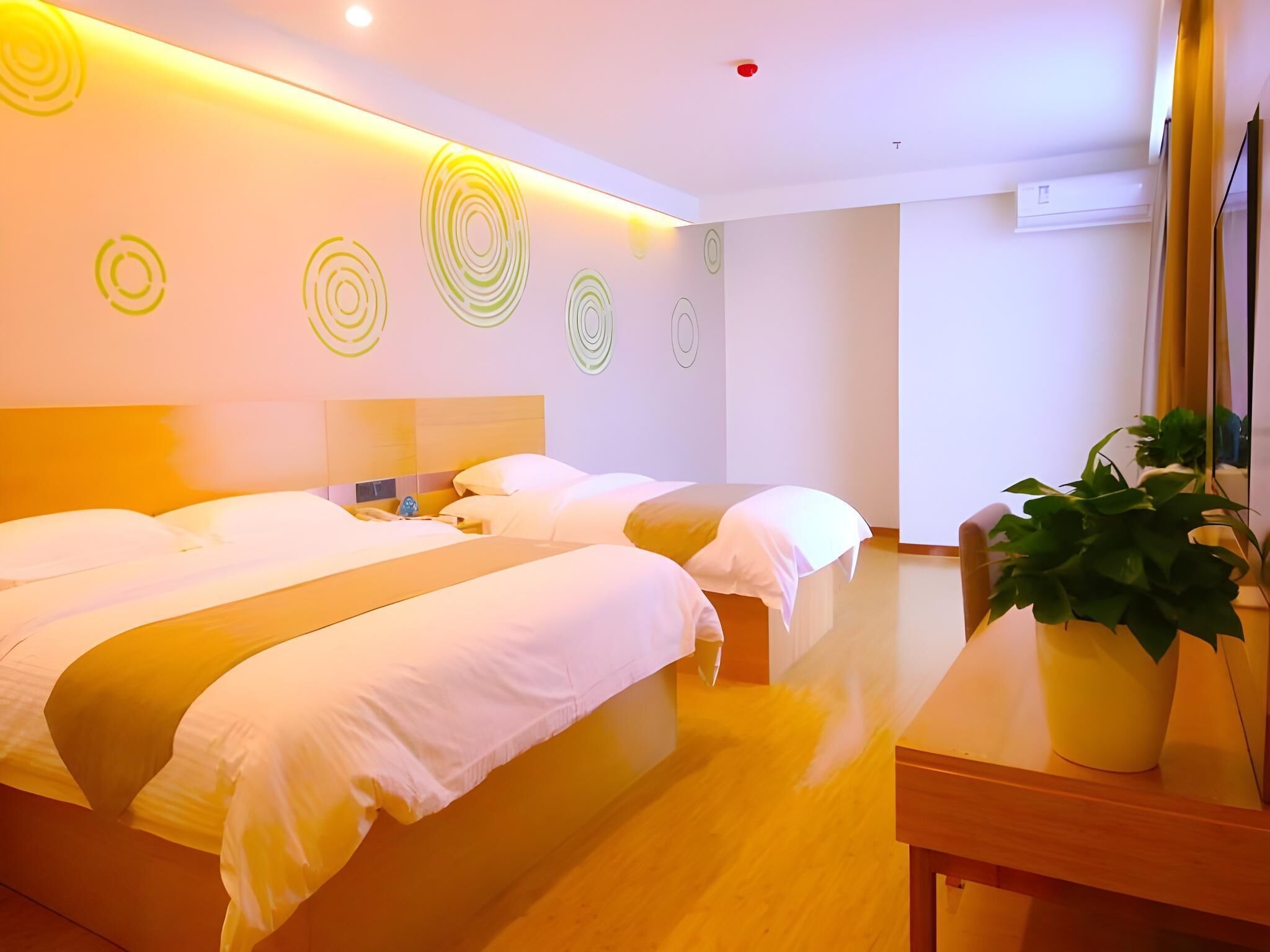 Une chambre d’hôtel avec deux lits, une table de chevet avec une lampe, une plante en pot et un mur orné de motifs circulaires.