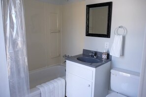 Shower, hair dryer, shampoo