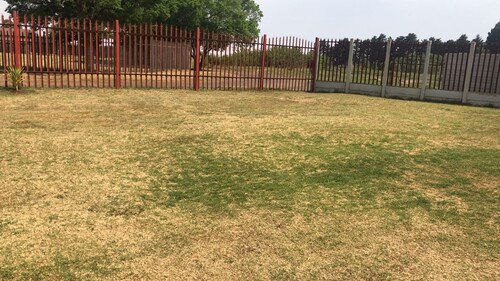 Captivating 1-bed Studio in Springs