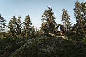 Un chalet rustique perché sur une colline rocheuse, entouré de grands pins.