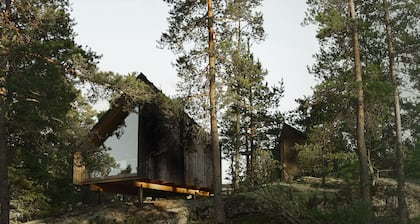 Hilltop Forest