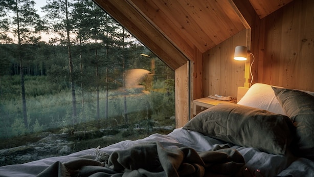 A bedroom with a wooden ceiling, a bedside table with a lamp, and a view of a forest through a window. - Hilltop Forest (Inga)
