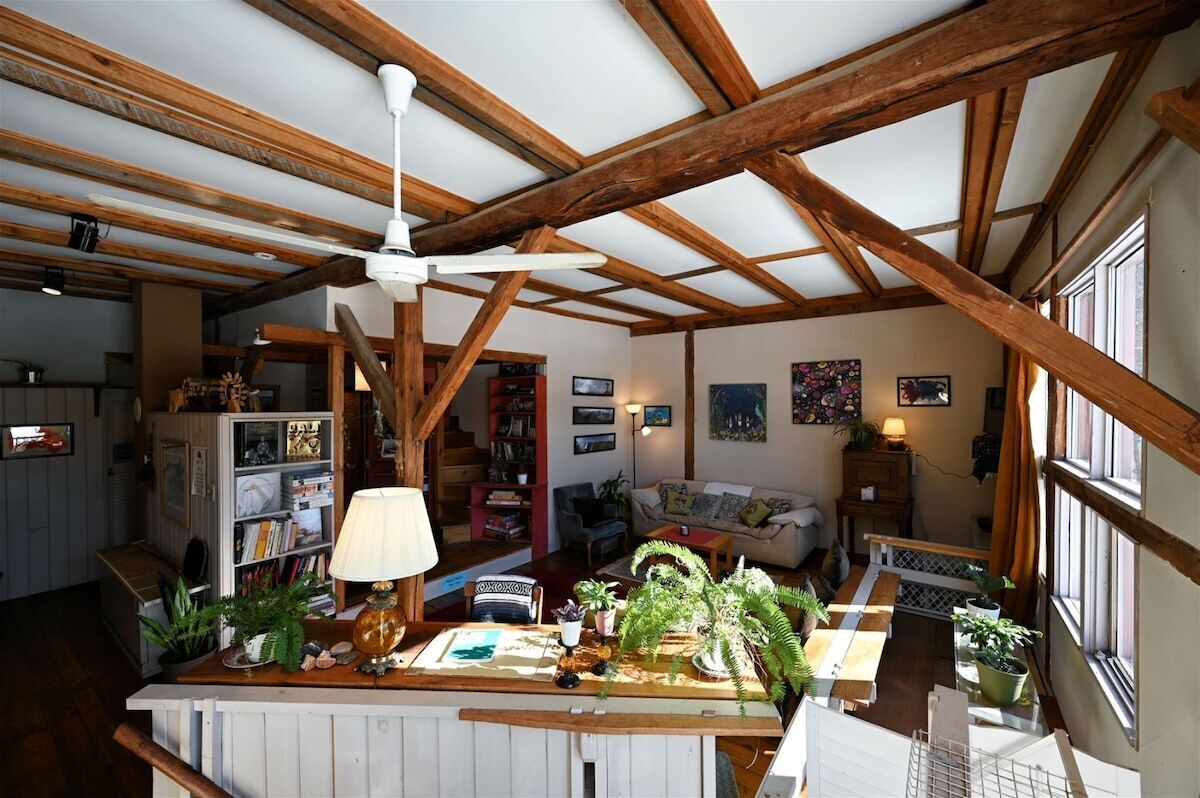 Televisión, tenis de mesa y libros 