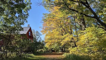 Àrea exterior de l'allotjament