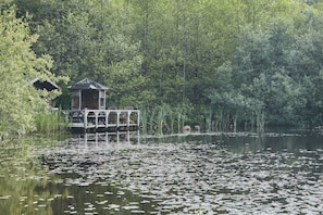 Cabin, Multiple Beds | Property grounds - Mushroom Yurt set in 4 Acres of Woodland and Lakes (Aberystwyth)