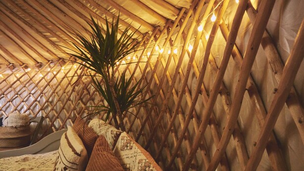 A cozy, enclosed space with a woven ceiling and string lights, featuring a plant and patterned cushions. - Mushroom Yurt set in 4 Acres of Woodland and Lakes (Aberystwyth)