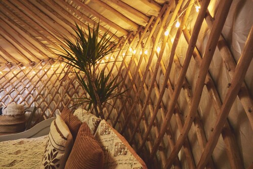 Mushroom Yurt set in 4 Acres of Woodland and Lakes