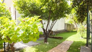 A garden with a brick pathway, a tree, and a white wall.