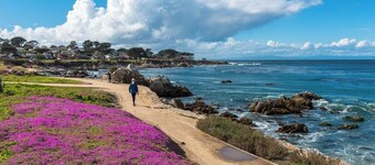 3885 Pebble Beach Oasis - Indoor / Outdoor Living