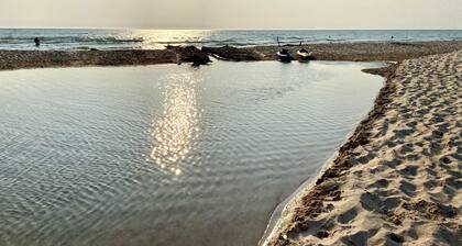 Freshwater Cottage - Across from Lake Michigan and minutes from Bass Lake