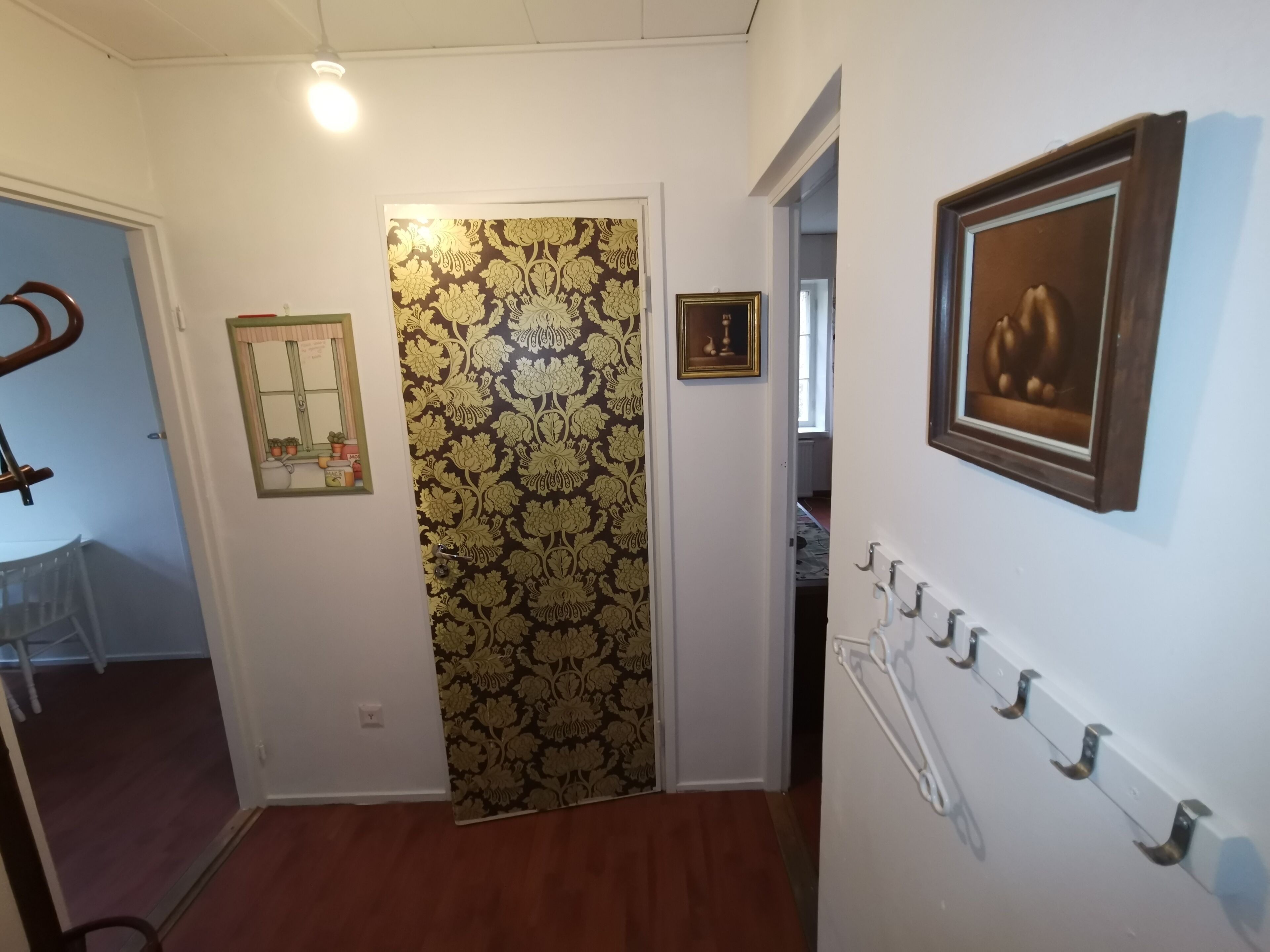 A hallway with a patterned door, a coat rack, and a wall-mounted picture frame.
