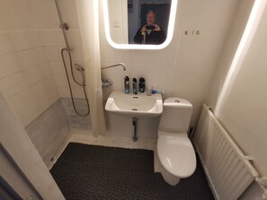 Apartment | Bathroom | Shower, hair dryer, towels
